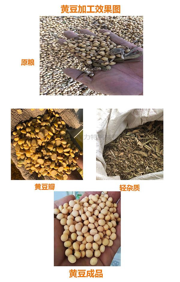 黃豆效果圖.jpg